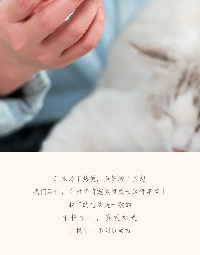Gemini Pet Comb – product details 12